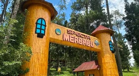 Spekta Merbabu